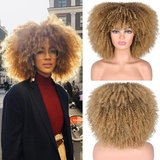 AFRO CURLY WIG